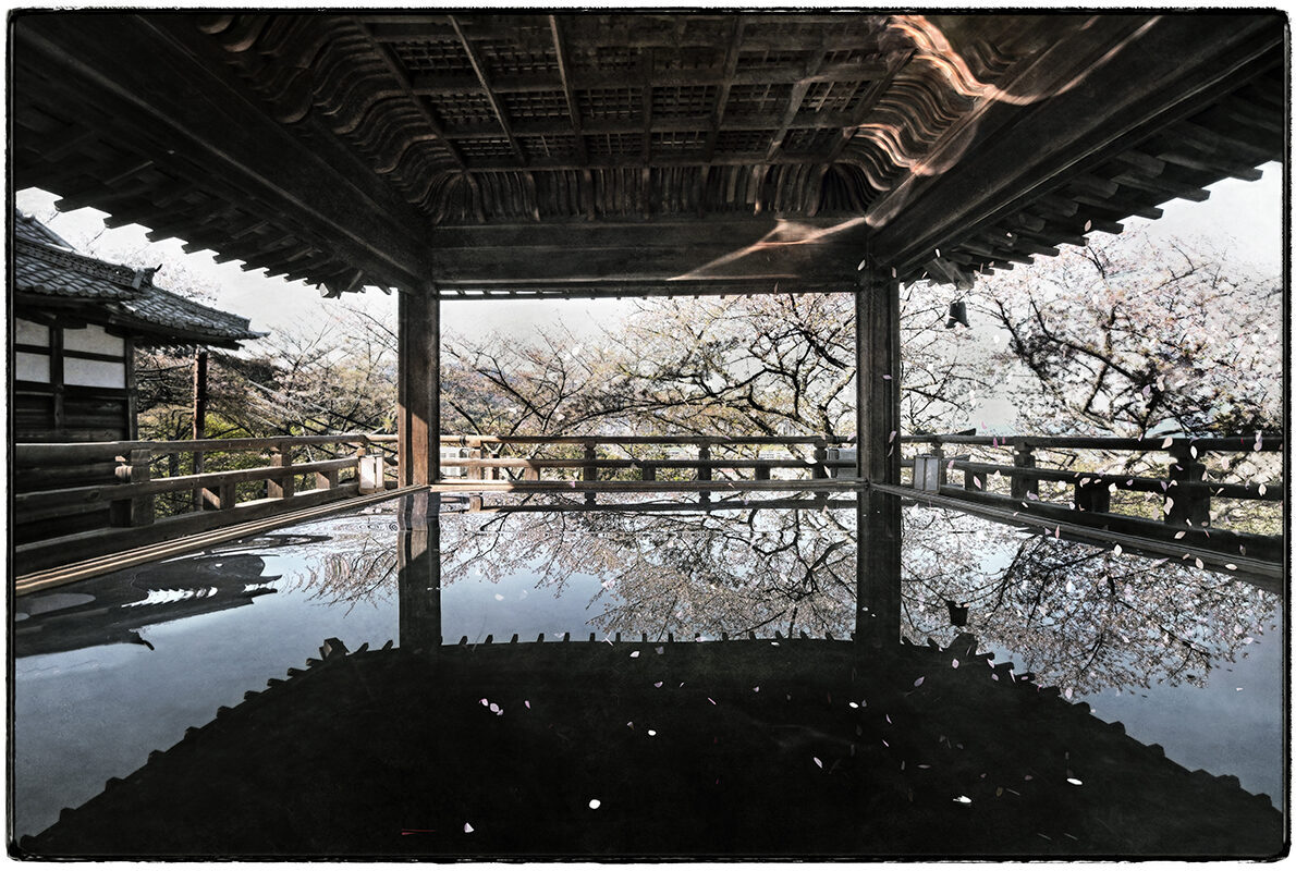 2026_4_11_T5X5087_A三井寺